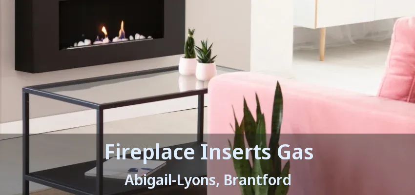 Fireplace Inserts Gas Abigail-Lyons, Brantford - ON Fireplace Inserts Gas Abigail-Lyons, Brantford - ON