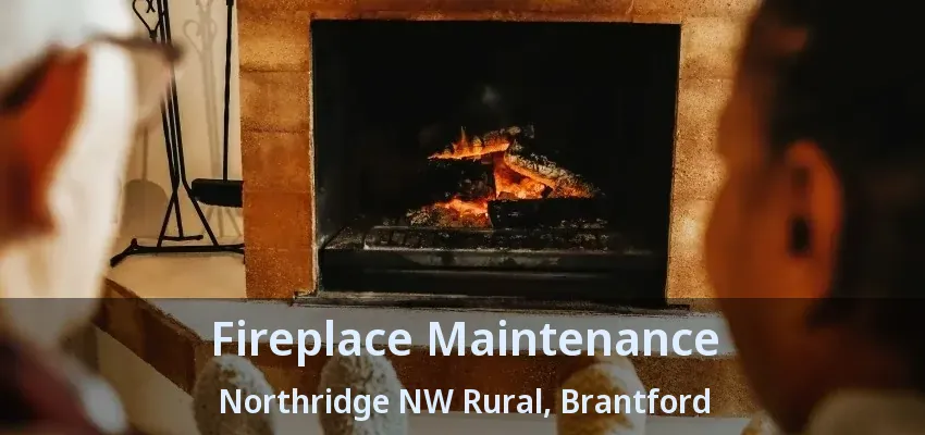 Fireplace Maintenance Northridge NW Rural, Brantford - ON
