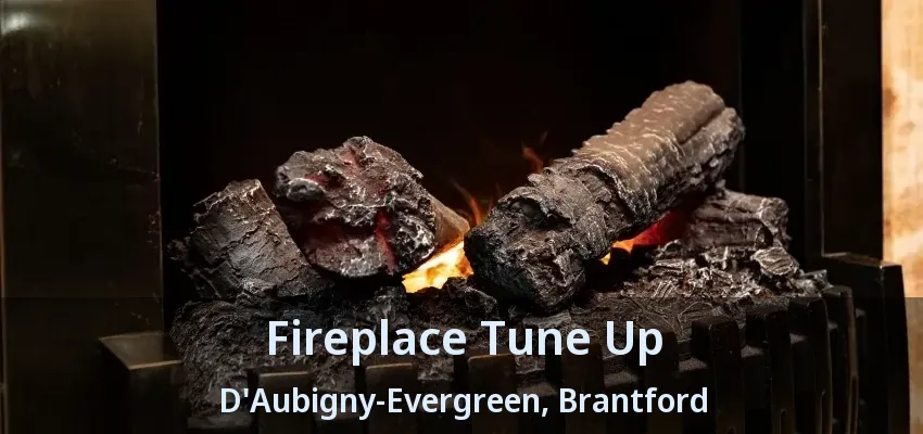 Fireplace Tune Up D'Aubigny-Evergreen, Brantford - ON