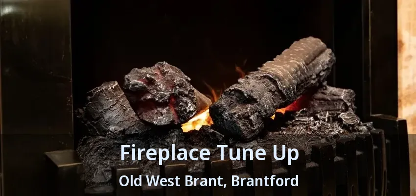 Fireplace Tune Up Old West Brant, Brantford - ON