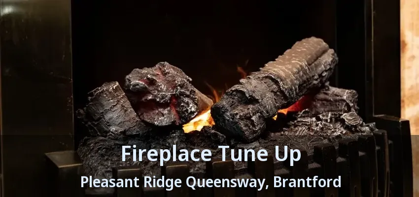 Fireplace Tune Up Pleasant Ridge Queensway, Brantford - ON