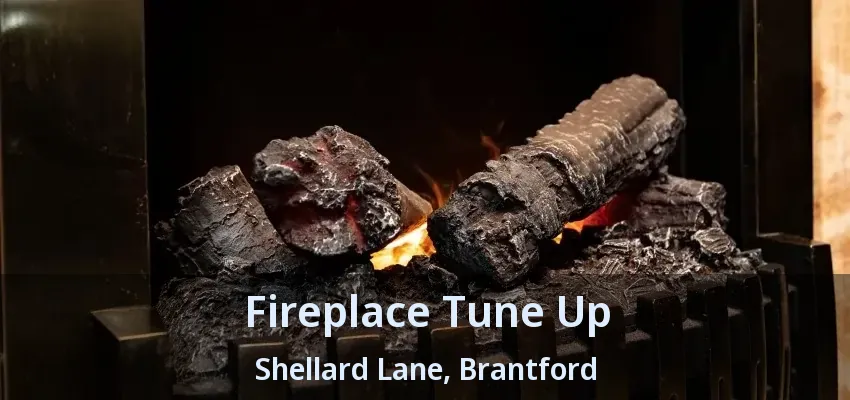 Fireplace Tune Up Shellard Lane, Brantford - ON Fireplace Tune Up Shellard Lane, Brantford - ON