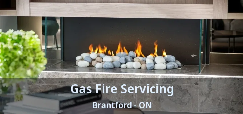 Gas Fire Servicing Brantford - ON