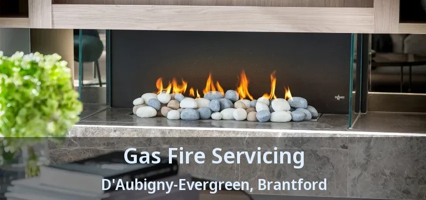 Gas Fire Servicing D'Aubigny-Evergreen, Brantford - ON