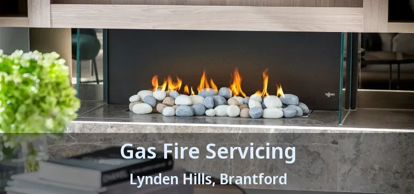 Gas Fire Servicing Lynden Hills, Brantford - ON