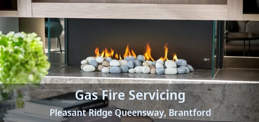 Gas Fire Servicing Pleasant Ridge Queensway, Brantford - ON