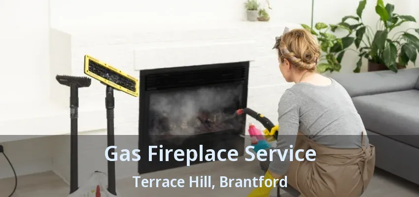Gas Fireplace Service Terrace Hill, Brantford - ON