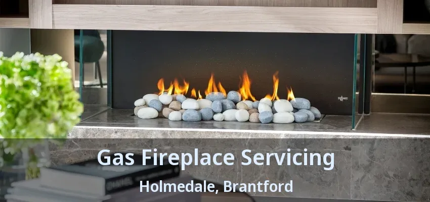 Gas Fireplace Servicing Holmedale, Brantford - ON