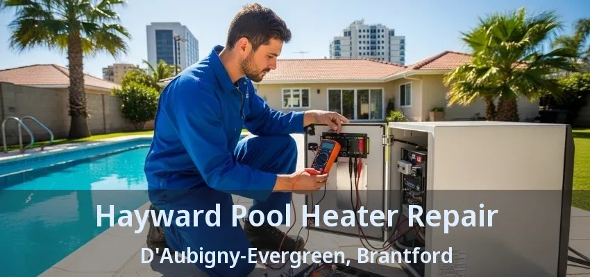 Hayward Pool Heater Repair D'Aubigny-Evergreen, Brantford - ON