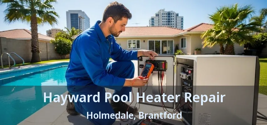 Hayward Pool Heater Repair Holmedale, Brantford - ON Hayward Pool Heater Repair Holmedale, Brantford - ON