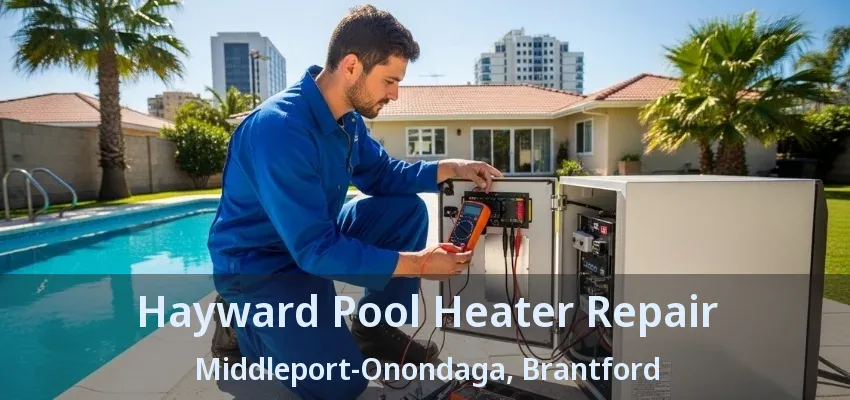 Hayward Pool Heater Repair Middleport-Onondaga, Brantford - ON