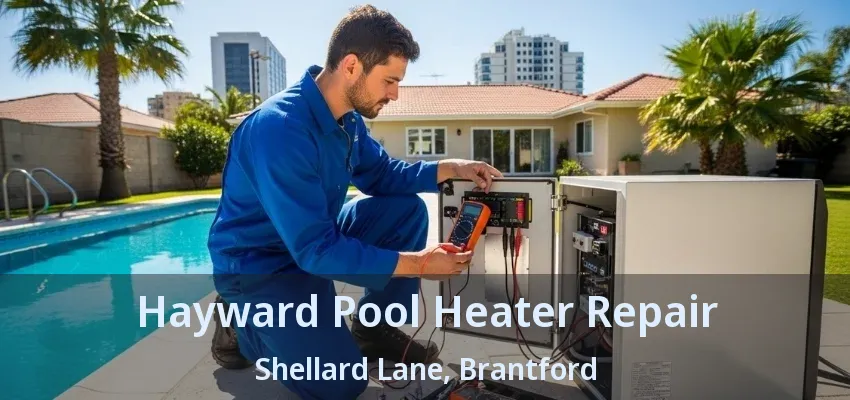 Hayward Pool Heater Repair Shellard Lane, Brantford - ON