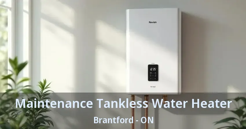 Maintenance Tankless Water Heater Brantford - ON Maintenance Tankless Water Heater Brantford - ON