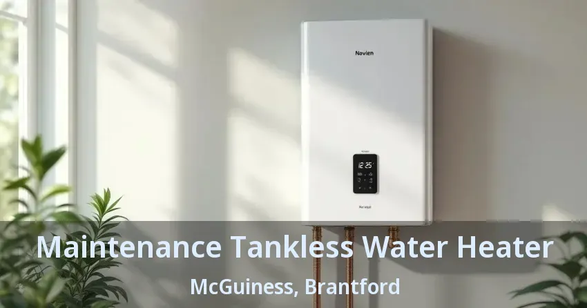 Maintenance Tankless Water Heater McGuiness, Brantford - ON