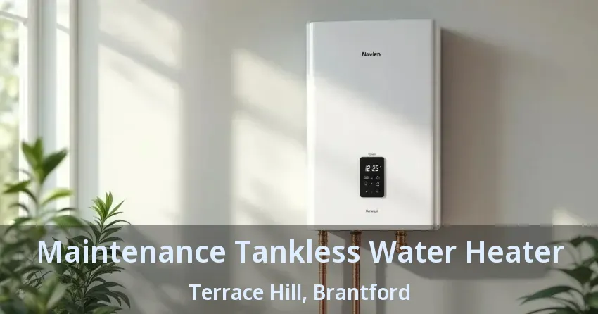 Maintenance Tankless Water Heater Terrace Hill, Brantford - ON