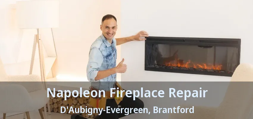 Napoleon Fireplace Repair D'Aubigny-Evergreen, Brantford - ON