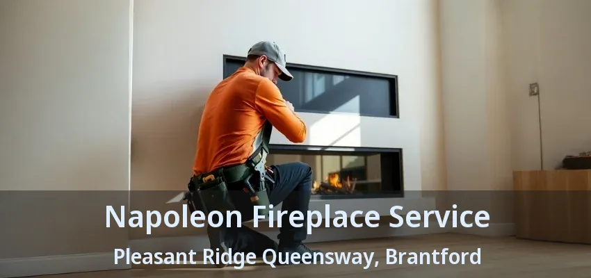 Napoleon Fireplace Service Pleasant Ridge Queensway, Brantford - ON