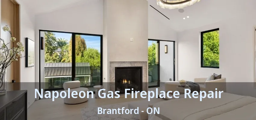Napoleon Gas Fireplace Repair Brantford - ON Napoleon Gas Fireplace Repair Brantford - ON
