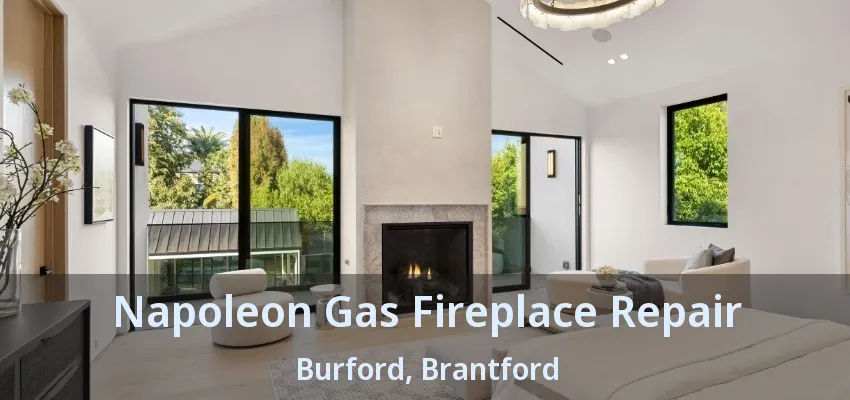 Napoleon Gas Fireplace Repair Burford, Brantford - ON