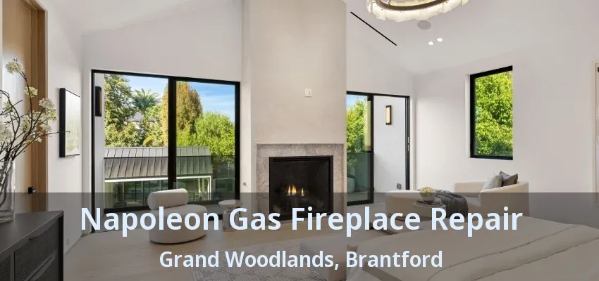 Napoleon Gas Fireplace Repair Grand Woodlands, Brantford - ON Napoleon Gas Fireplace Repair Grand Woodlands, Brantford - ON