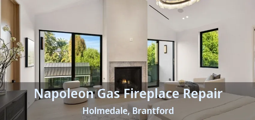 Napoleon Gas Fireplace Repair Holmedale, Brantford - ON Napoleon Gas Fireplace Repair Holmedale, Brantford - ON