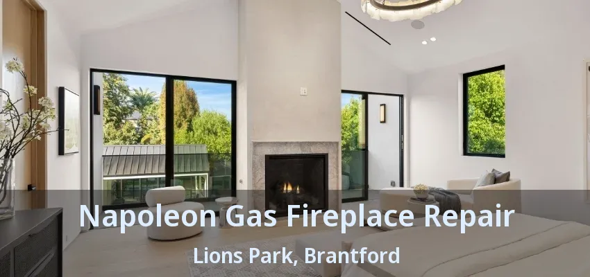 Napoleon Gas Fireplace Repair Lions Park, Brantford - ON Napoleon Gas Fireplace Repair Lions Park, Brantford - ON