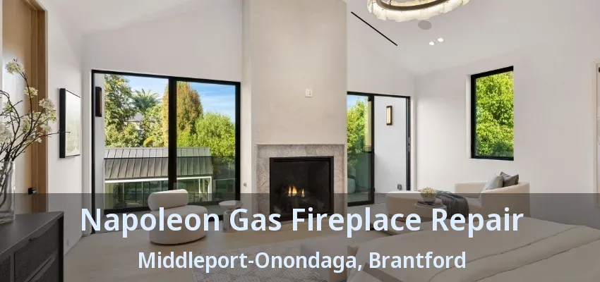 Napoleon Gas Fireplace Repair Middleport-Onondaga, Brantford - ON Napoleon Gas Fireplace Repair Middleport-Onondaga, Brantford - ON