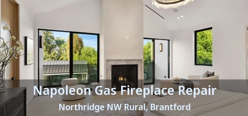 Napoleon Gas Fireplace Repair Northridge NW Rural, Brantford - ON
