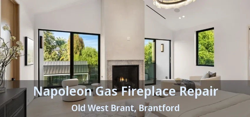 Napoleon Gas Fireplace Repair Old West Brant, Brantford - ON
