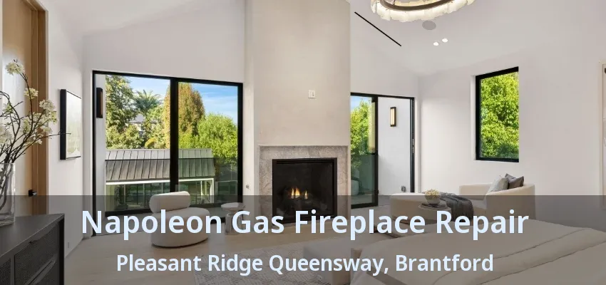 Napoleon Gas Fireplace Repair Pleasant Ridge Queensway, Brantford - ON