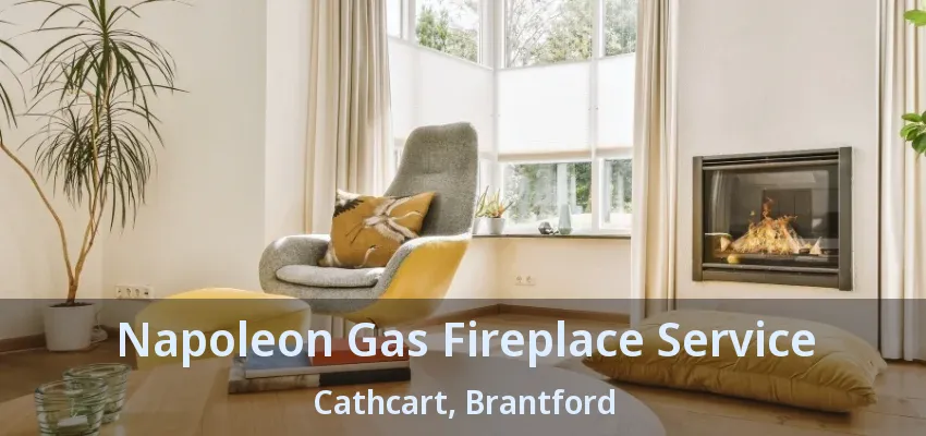 Napoleon Gas Fireplace Service Cathcart, Brantford - ON