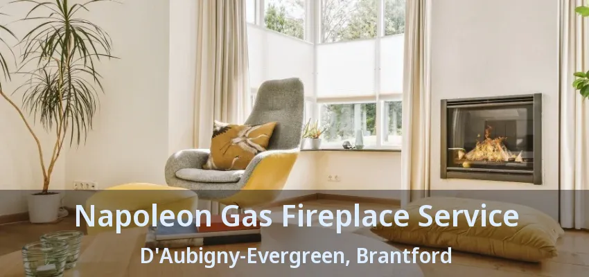 Napoleon Gas Fireplace Service D'Aubigny-Evergreen, Brantford - ON Napoleon Gas Fireplace Service D'Aubigny-Evergreen, Brantford - ON