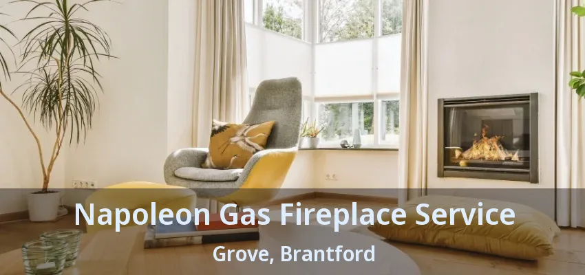 Napoleon Gas Fireplace Service Grove, Brantford - ON