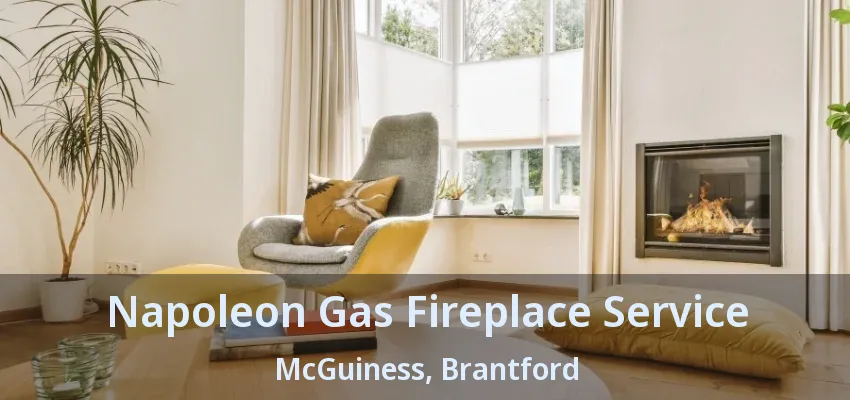 Napoleon Gas Fireplace Service McGuiness, Brantford - ON Napoleon Gas Fireplace Service McGuiness, Brantford - ON