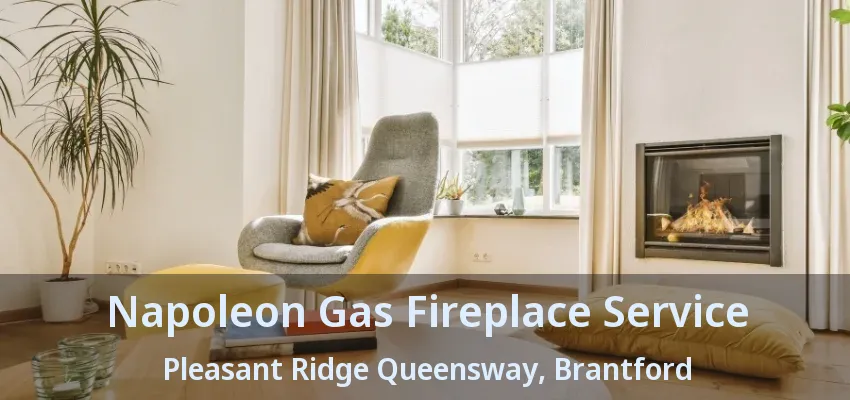 Napoleon Gas Fireplace Service Pleasant Ridge Queensway, Brantford - ON