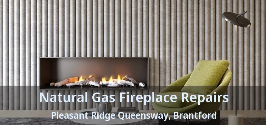 Natural Gas Fireplace Repairs Pleasant Ridge Queensway, Brantford - ON