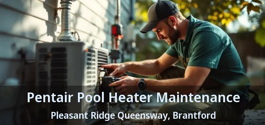 Pentair Pool Heater Maintenance Pleasant Ridge Queensway, Brantford - ON