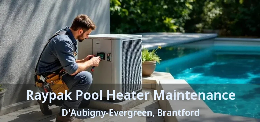 Raypak Pool Heater Maintenance D'Aubigny-Evergreen, Brantford - ON