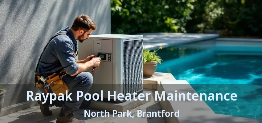 Raypak Pool Heater Maintenance North Park, Brantford - ON Raypak Pool Heater Maintenance North Park, Brantford - ON