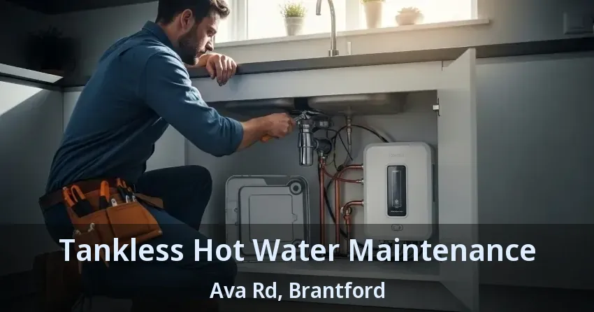 Tankless Hot Water Maintenance Ava Rd, Brantford - ON
