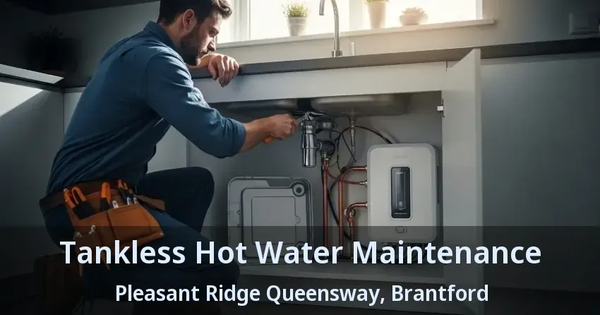 Tankless Hot Water Maintenance Pleasant Ridge Queensway, Brantford - ON
