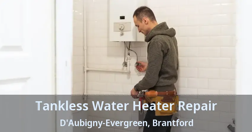 Tankless Water Heater Repair D'Aubigny-Evergreen, Brantford - ON