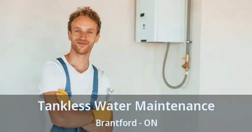 Tankless Water Maintenance Brantford - ON Tankless Water Maintenance Brantford - ON