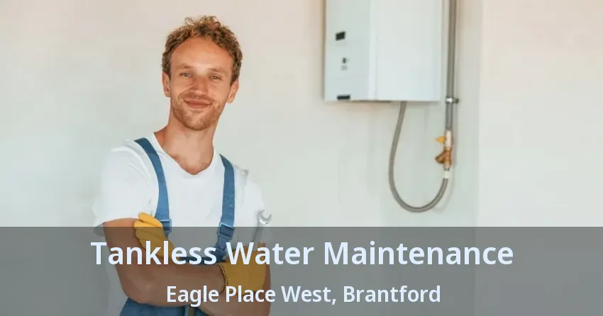 Tankless Water Maintenance Eagle Place West, Brantford - ON