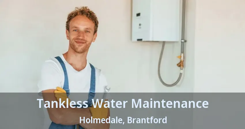 Tankless Water Maintenance Holmedale, Brantford - ON Tankless Water Maintenance Holmedale, Brantford - ON