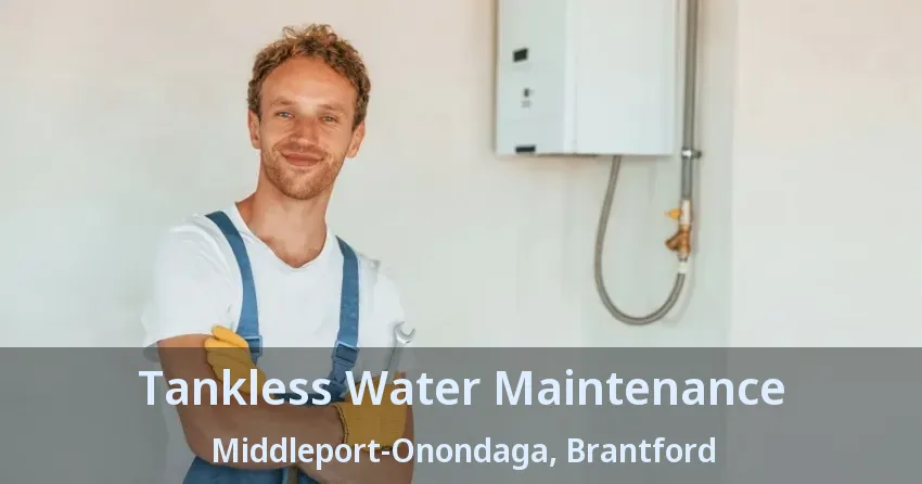 Tankless Water Maintenance Middleport-Onondaga, Brantford - ON