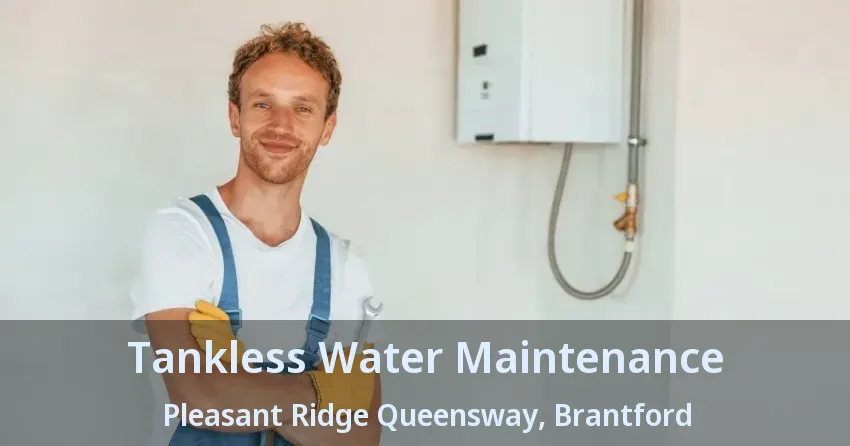 Tankless Water Maintenance Pleasant Ridge Queensway, Brantford - ON